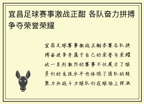 宜昌足球赛事激战正酣 各队奋力拼搏争夺荣誉荣耀