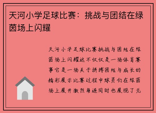天河小学足球比赛：挑战与团结在绿茵场上闪耀