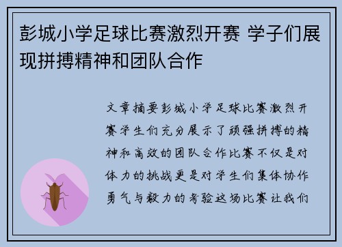 彭城小学足球比赛激烈开赛 学子们展现拼搏精神和团队合作