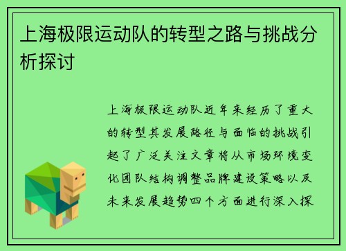 上海极限运动队的转型之路与挑战分析探讨